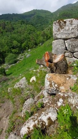 Древние башни.  Горная Ингушетия.   могильник