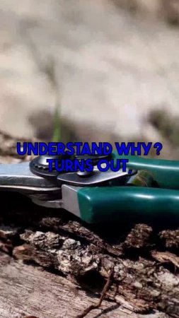 Ever wonder why homemade safe natural weed killer options seem to fail? They often only burn the...