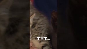 СРОЧНЫЕ НОВОСТИ ТУРЦИИ