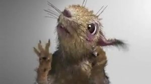 Белка Минздрава