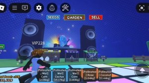 ДИСКО В ВЫРАСТИ САД