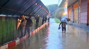 Градины выпали в Долгопрудном, вода затопила улицы в Химках. Непогода обрушилась на Подмосковье