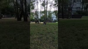 маркус и Селена