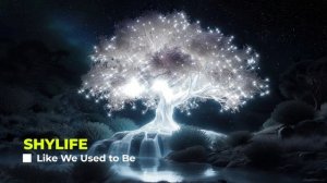 SHYLIFE - Like We Used to Be (Cinematic,Corporate)
🎧 музыка без авторских прав 🎧 музыка для видео