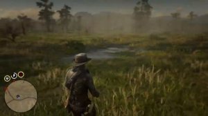 Баг с палатой в RDR 2|Red Dead Redemption 2