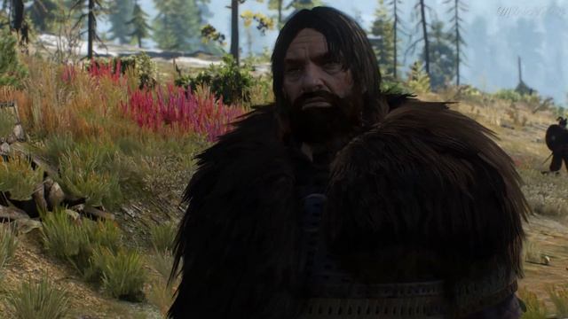 Морские дьяволы ► The Witcher 3 Wild Hunt #37 смотреть онлайн