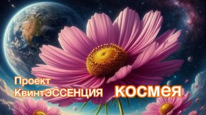 07.06.2025. Проект КвинтЭССЕНЦИЯ. Встреча 8. Космея