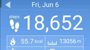 Летняя прогулка по парку: Здоровье, природа, отличное настроение! 6 Июня