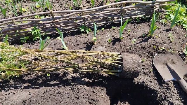 Жизнь переселенцев ‼️ Творческий труд целый день ‼️ смотреть онлайн