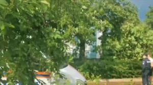 ‼️Дерево упало на девушку в Коломне из-за сильного ветра‼️