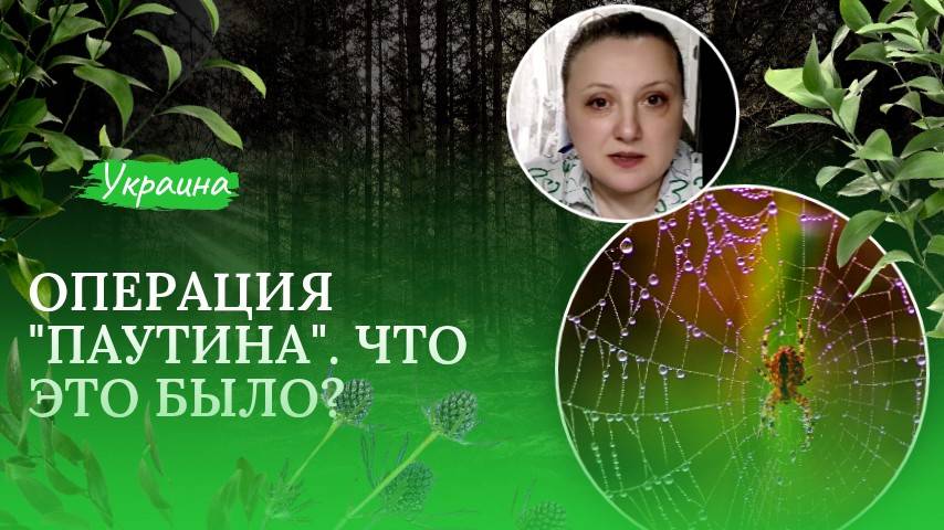 Операция "Паутина". Что это было?
