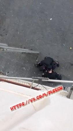 Вот так надо задерживать макак, вооруженных ножиками!