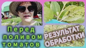 Что уже пора сделать с томатами в теплице!🤔