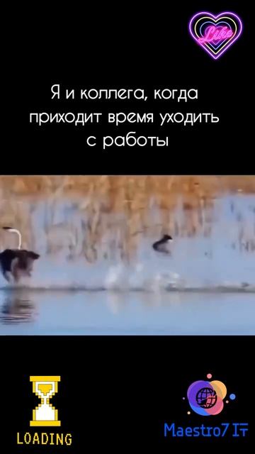 💻 Женский коллектив ...