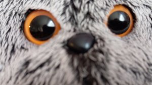 Утро Басиков