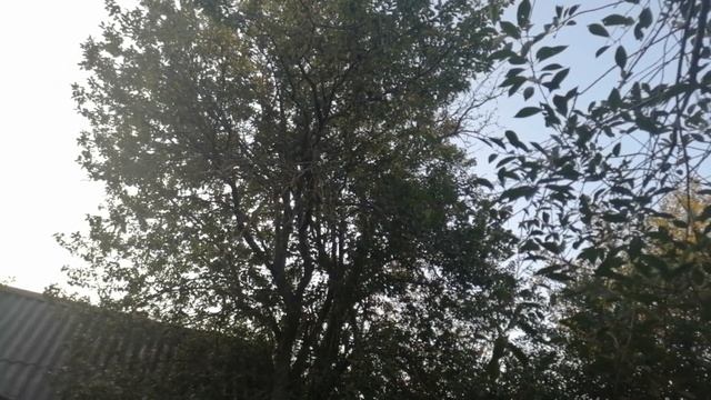 никогда не покупай блоки питания Deepcool pf честно о блоке смотреть онлайн