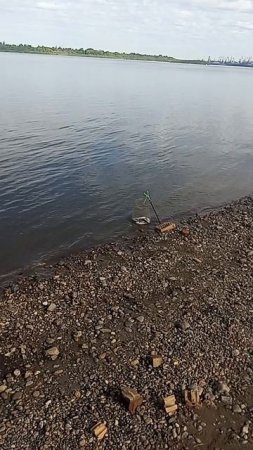 1000048410.mp4