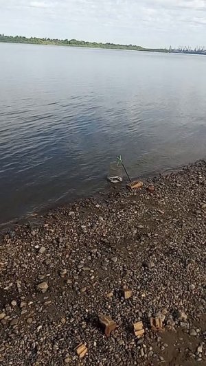 1000048410.mp4