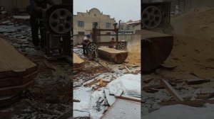 Распил дуба на слэбы.