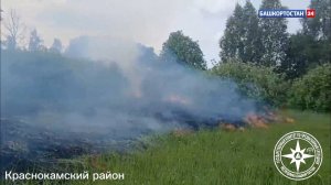 Спасатели рассказали о ситуации с лесными пожарами в Башкортостане на 7 июня