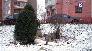 Мой комфортный двор: Любецкая, 23