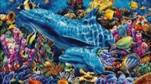 Новый старт! Дельфины в океане