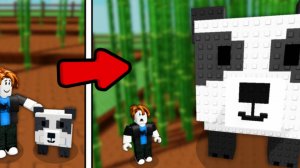 ОБНОВА В САДУ!