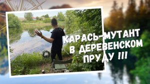 Я ДУРЕЮ С ТАКОГО КАРАСЯ!!