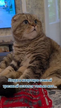 07-06-2025😺😺😺