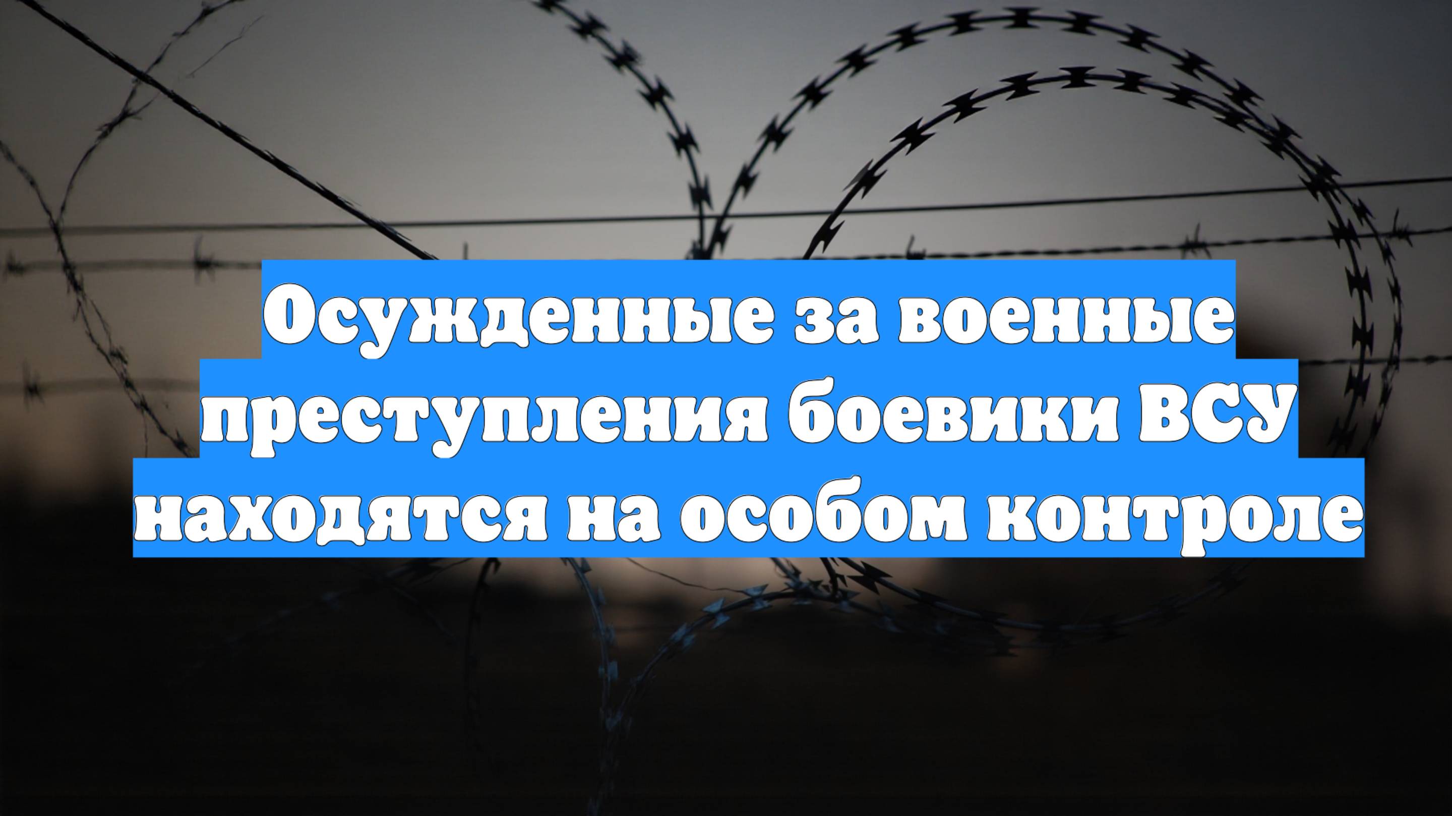 Осужденные за военные преступления боевики ВСУ находятся на особом контроле