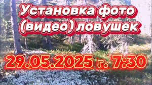 ВИДЕОЛОВУШКИ В ДЕЛЕ! УСТАНОВКА. 29.05.2025 Г.