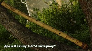 Обзор Дзен-Хотику 2.5  "Аматерасу"