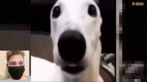 INTO THE PIT СДЕЛАЛ С ФНАФОМ НЕЧТО УЖАСНОЕ - РЕАКЦИЯ НА N-time