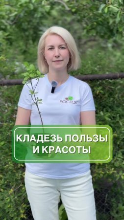 🌿🍒 Кизил — кладезь пользы и красоты в вашем саду! 🍒🌿
