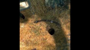 Скайримский вайб. Вайтран