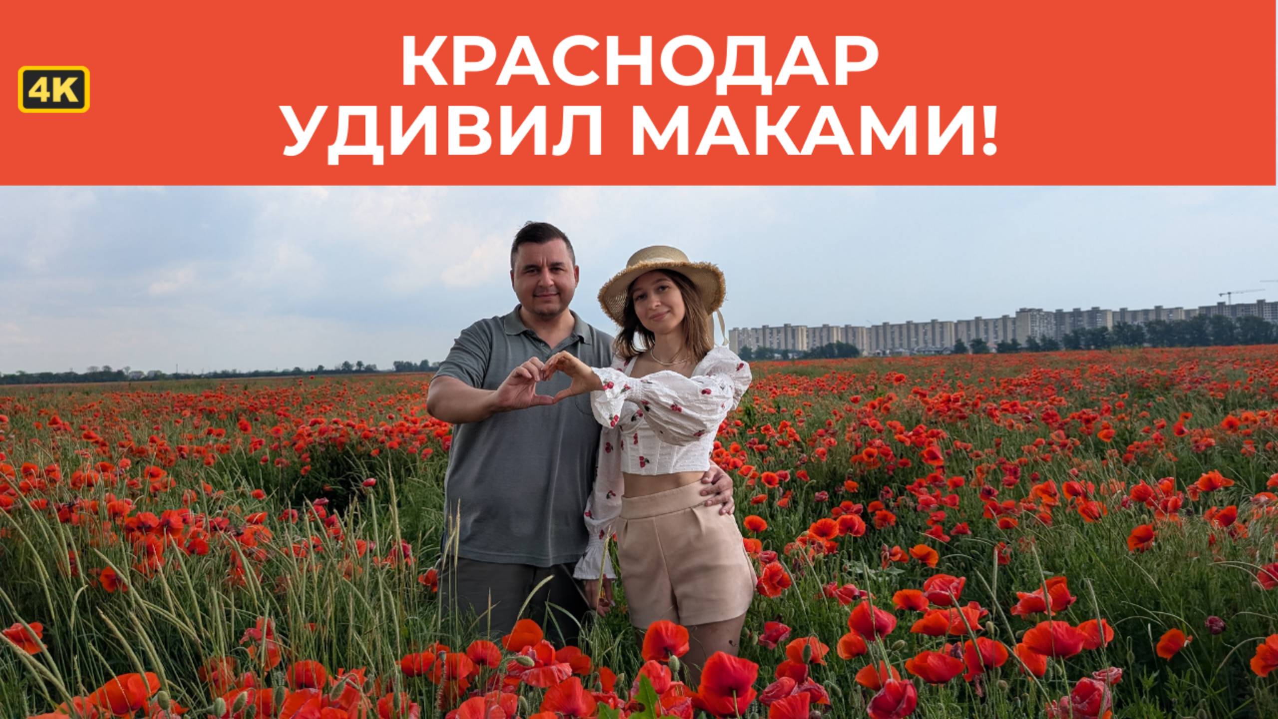 4К. Краснодар или Крым: где маковые поля красивее? Красота, которую нельзя пропустить!