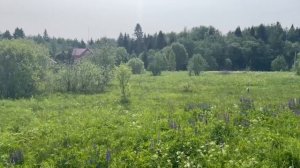 д. Брыковы Горы участок для ИЖС