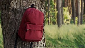 Почему ваш мозг не может обработать эти образы - Die Mit Dem Kontrabass -- Phillip Gross -- Quart