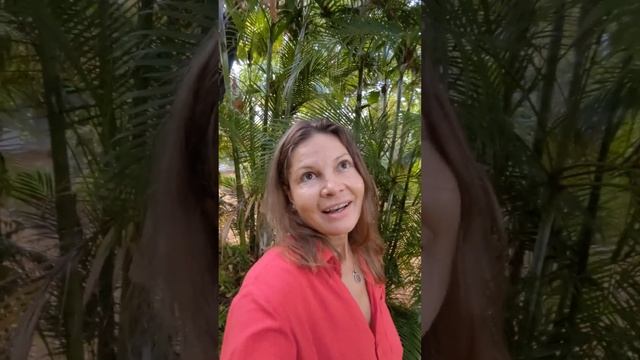 Прогулка -очень благоприятная Практика, особенно боси смотреть онлайн