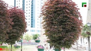 ПСИХОЛОГиЯ. тема -Что такое тревожность и чем она отличается от страха. Эфир от 05.14.2025