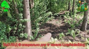 Зафиналили еще один 🤜🤛