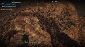 БОСС АРЕНЫ В S.T.A.L.K.E.R 2 | PLAY?