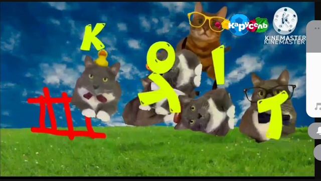 котинет карусель зима лето 2018