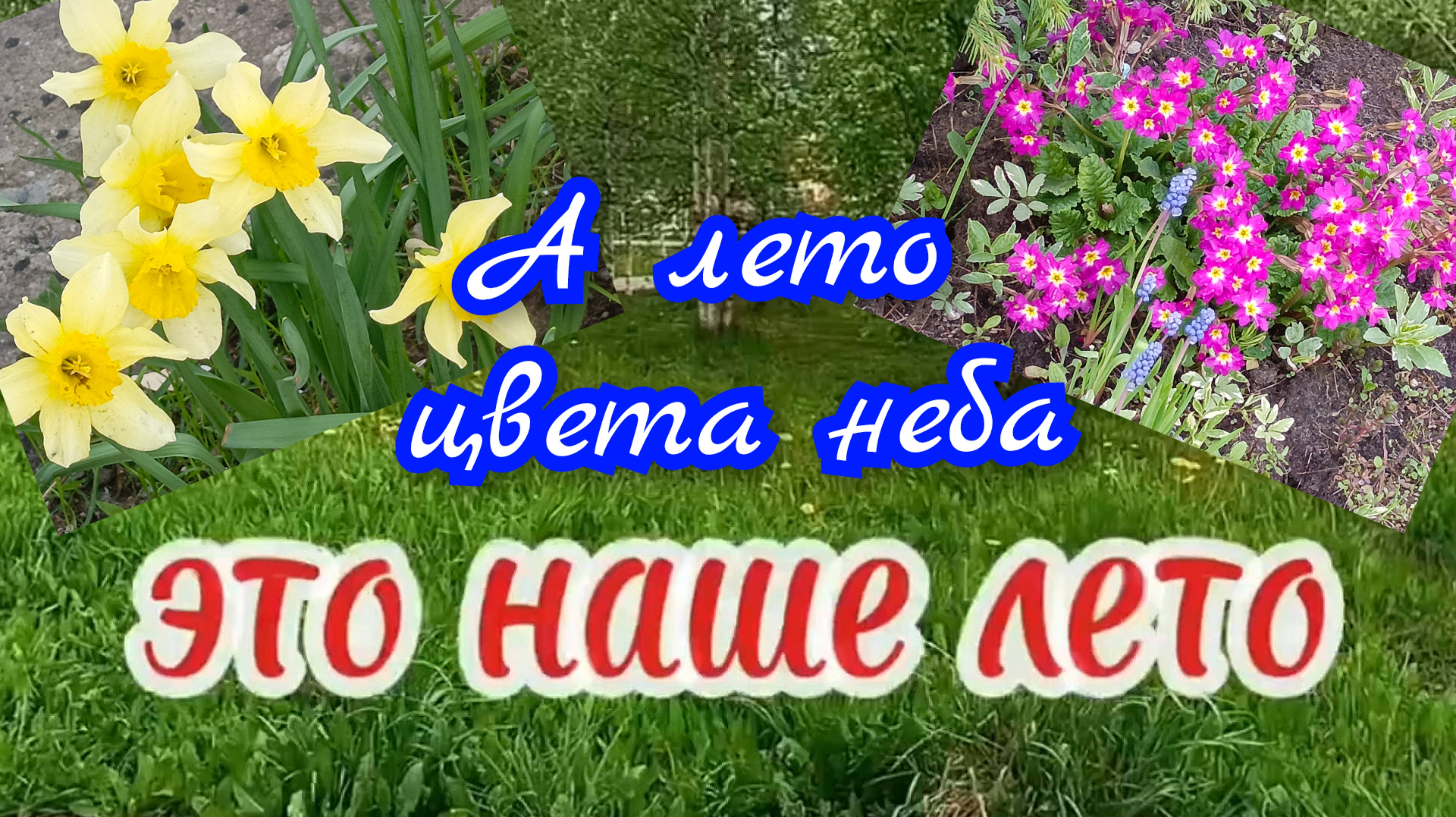 А лето цвета неба 🌺