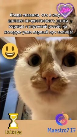 💻 Какой-то новый супер-кофе ☕