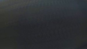 Как Пройти Усов Топи/Дорога через топи в Усов Stalker Online/S