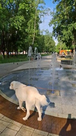 Утро выходного дня...