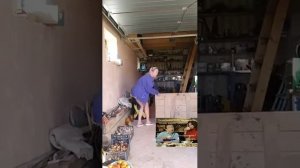Где пила