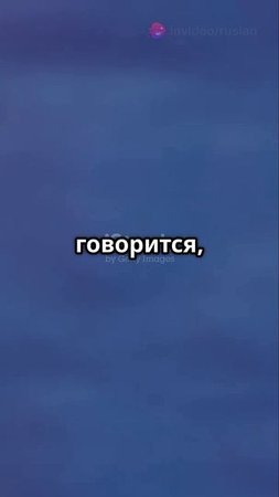 Как заработать на трейдинге с Shavaleev Trade!