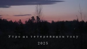 Встречаем восход солнца на тетеревином току. Утро 19 апреля 2025 года